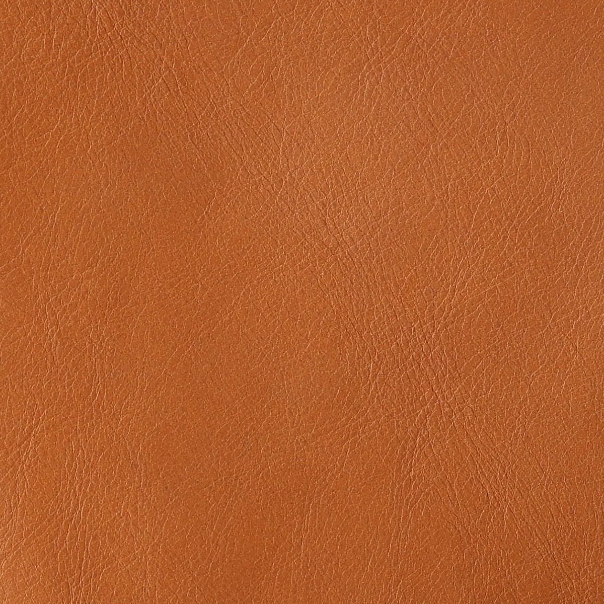 Cognac Soft, Nahaufnahme